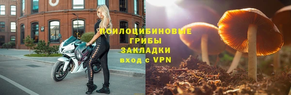 гидра Верхний Тагил