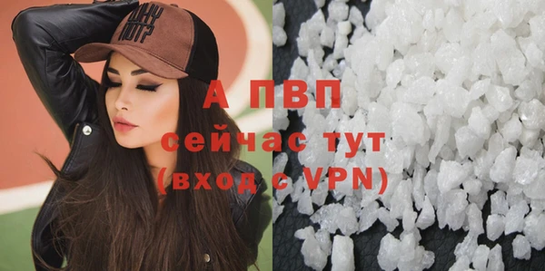 гидра Верхний Тагил