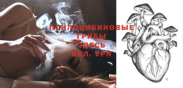 гидра Верхний Тагил