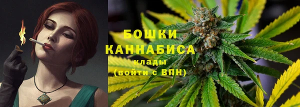 гидра Верхний Тагил