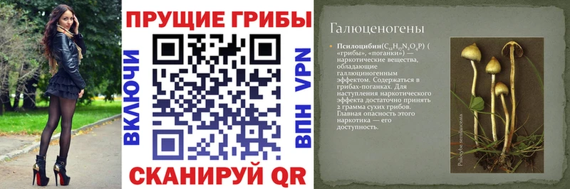 Псилоцибиновые грибы ЛСД  купить наркотики сайты  Назарово 